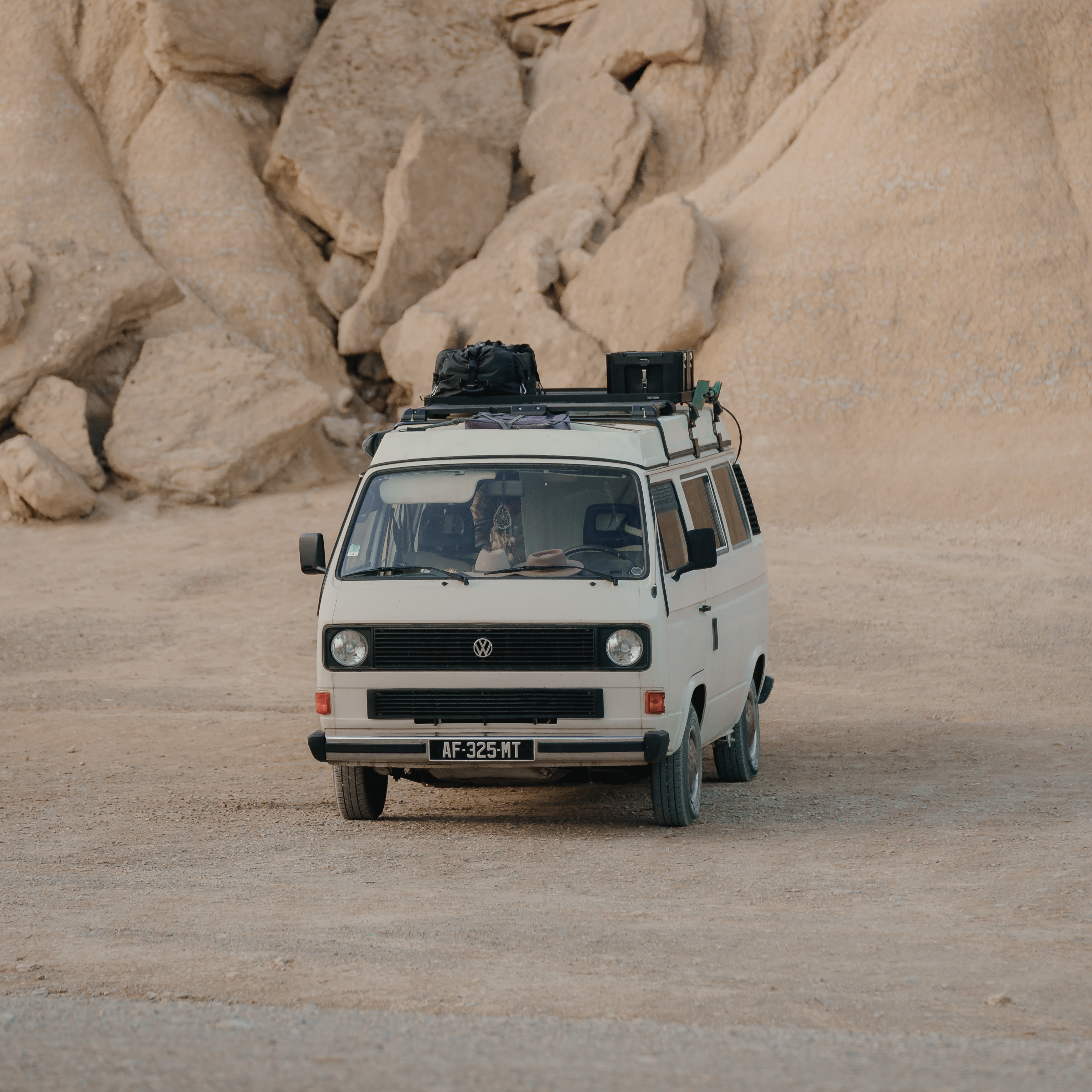 NEWSLETTER thumbnail