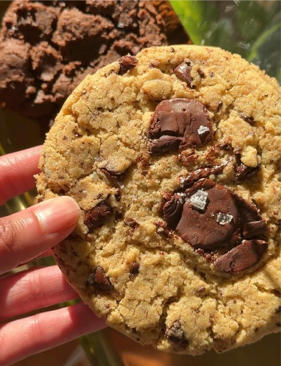 Shop Not Your Standard Official Cookies  thumbnail