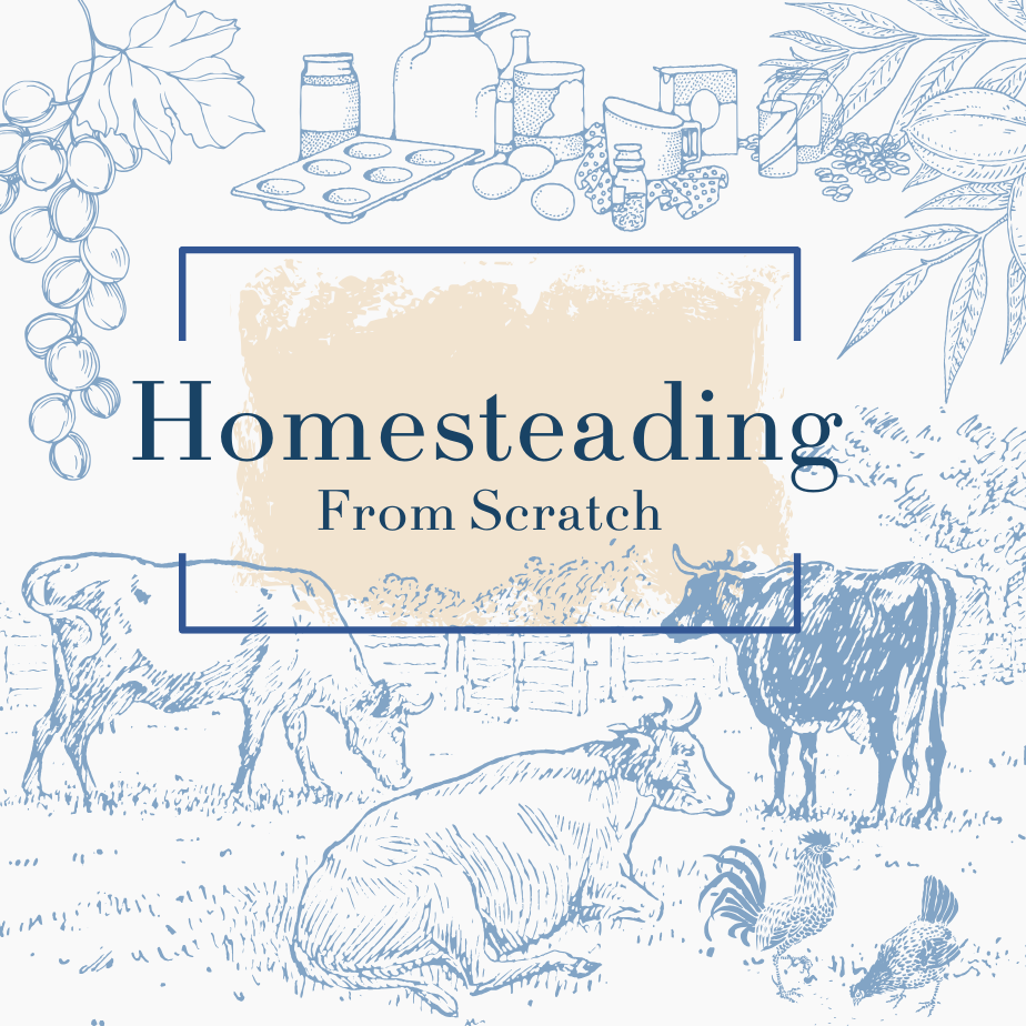 Homestead With Katie Website thumbnail