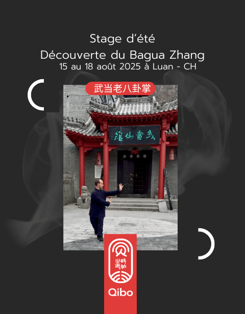 Lao Bagua Zhang  thumbnail
