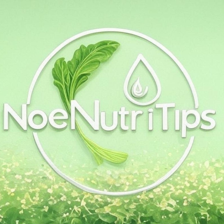 NoeNutriTips Web thumbnail