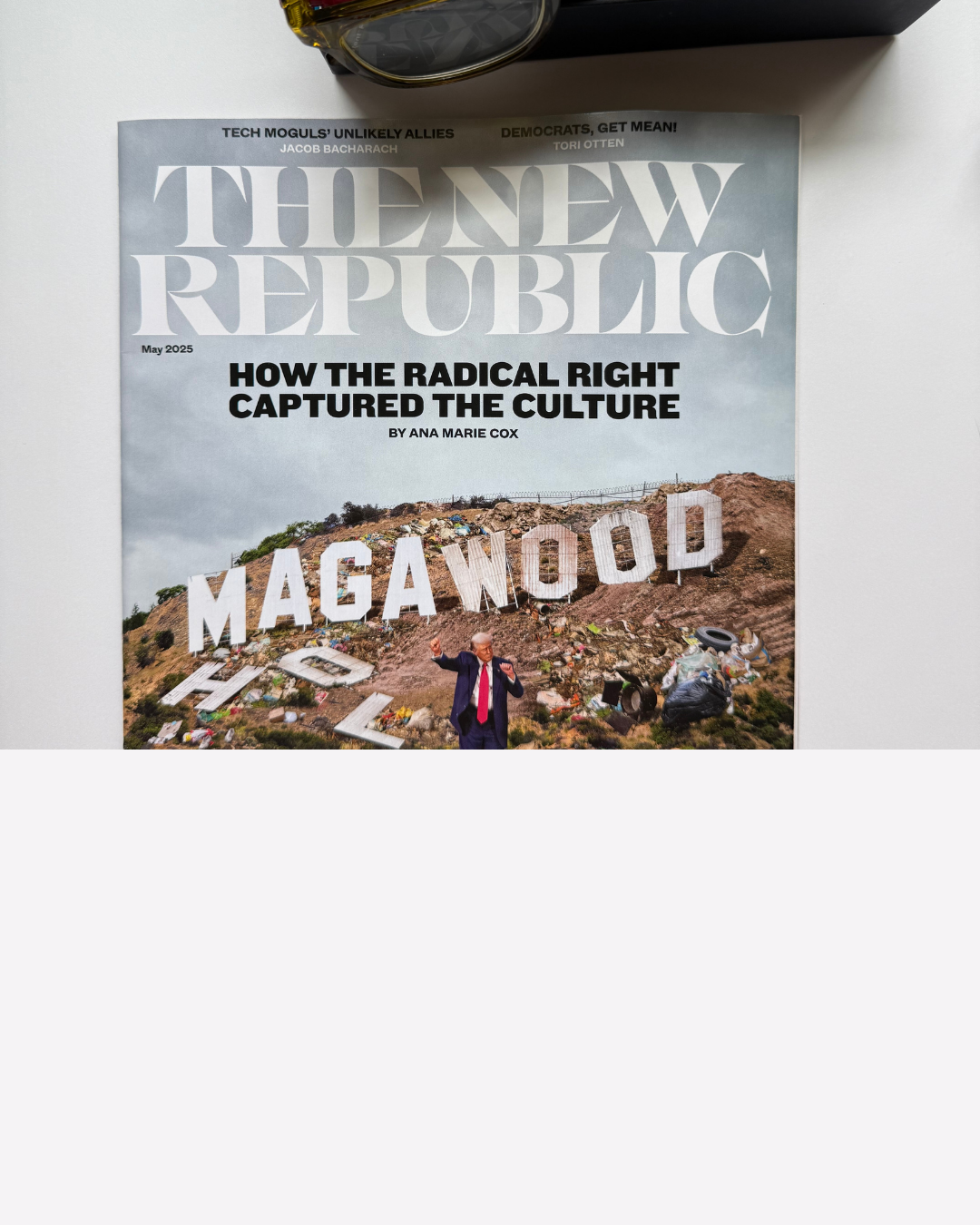 How the Radical Right Captured the Culture thumbnail
