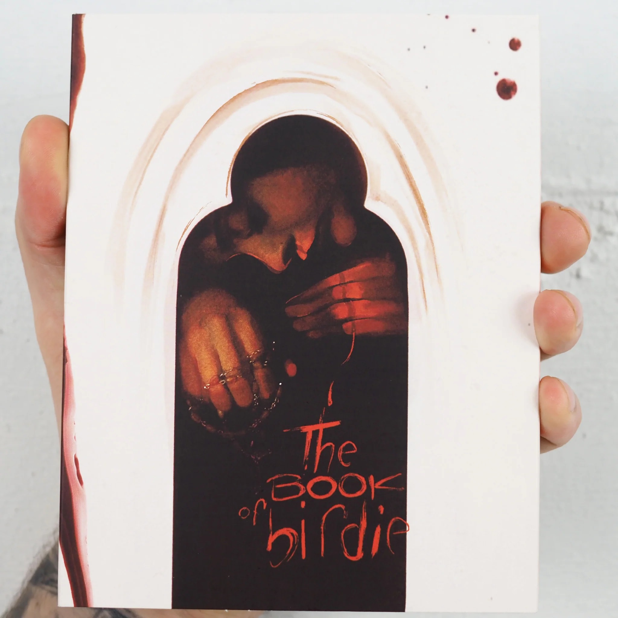 VINEGAR SYNDROME SPECIAL EDITION:  THE BOOK OF BIRDIE thumbnail