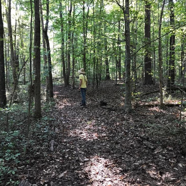 Upcoming: Guided Forest Bathing Walks, Saturdays, March 21 , June 20, and Sept  26, 3-5pm.,  thumbnail