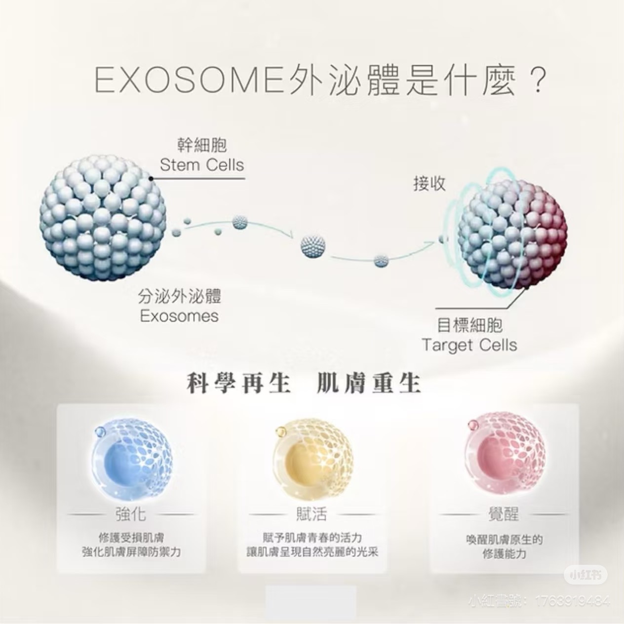 前往EB再生美學網誌 ➡️ thumbnail