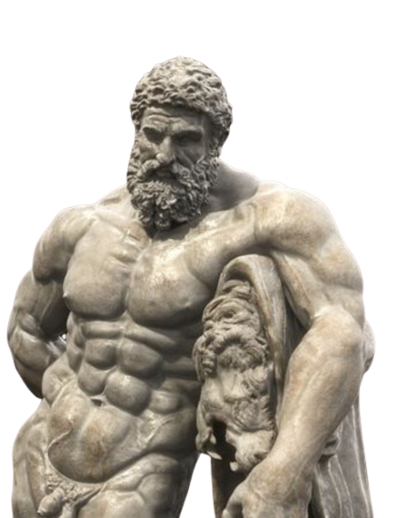 FREE Bronze Forge Iron Fitness Program thumbnail