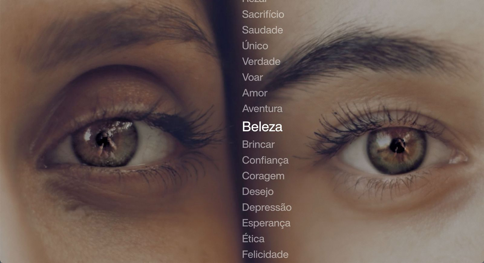 projeto1000palavras.com.br thumbnail