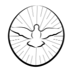 Novena News, Periódico Digital  thumbnail