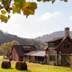 Other recent writings thumbnail