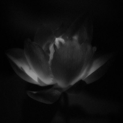 Not Sure What To Book? Start Here! thumbnail