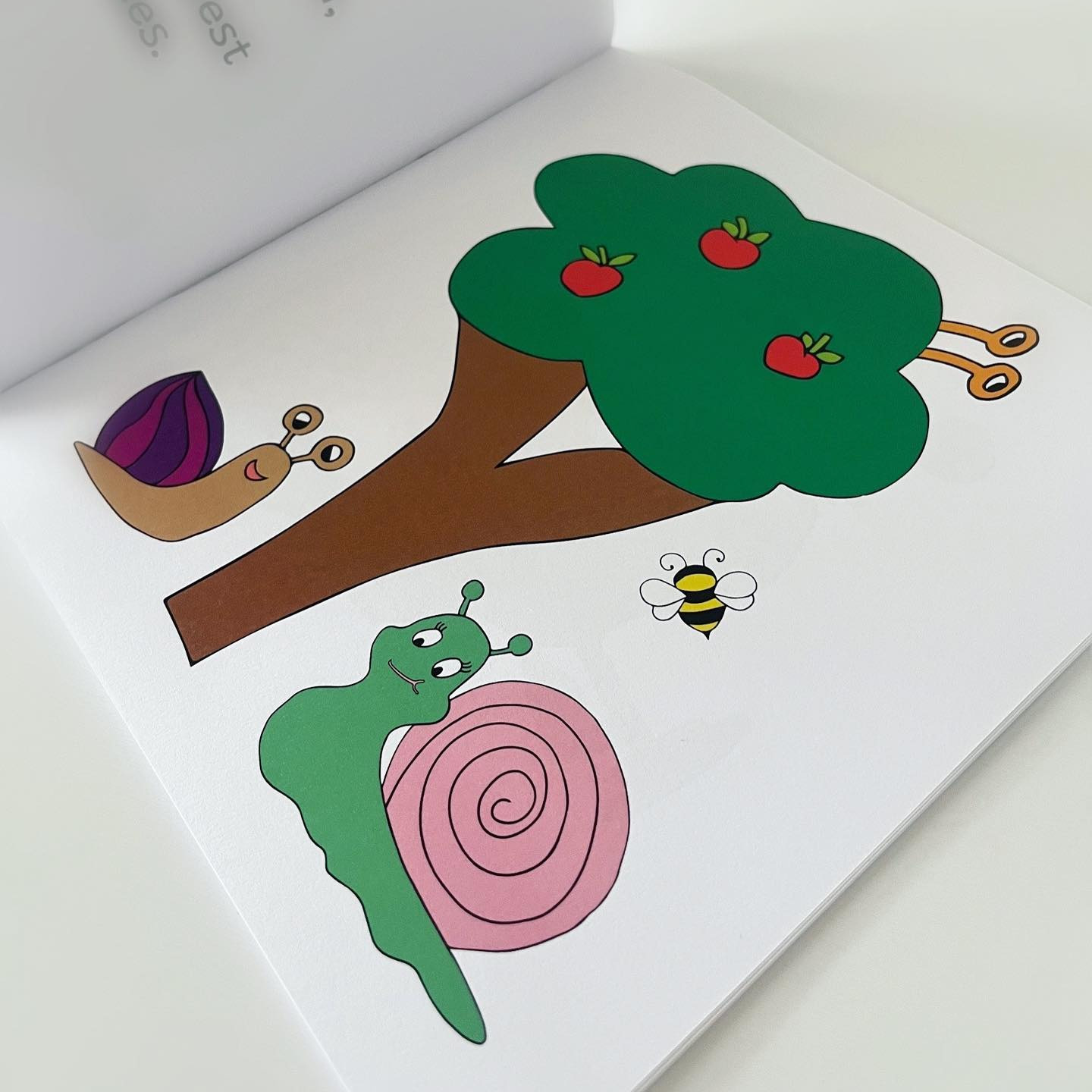 Snail Fact Picture Book thumbnail