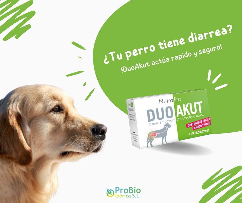 Suplemento alimenticio pre y probiótico en polvo para el tratamiento de la diarrea aguda y la desintoxicación. 🐶❤️‍🩹
-
-