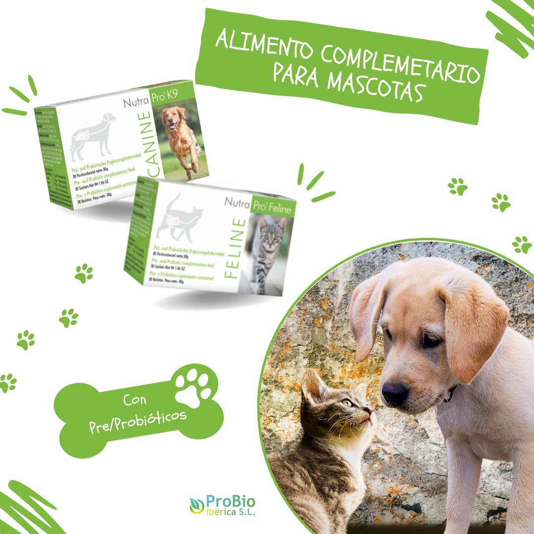 NutraPro® K9 Canine & Feline
Apoya la salud intestinal y el sistema inmunológico. 
-
-
-
 #NutraPro #nutrapro #saludinte