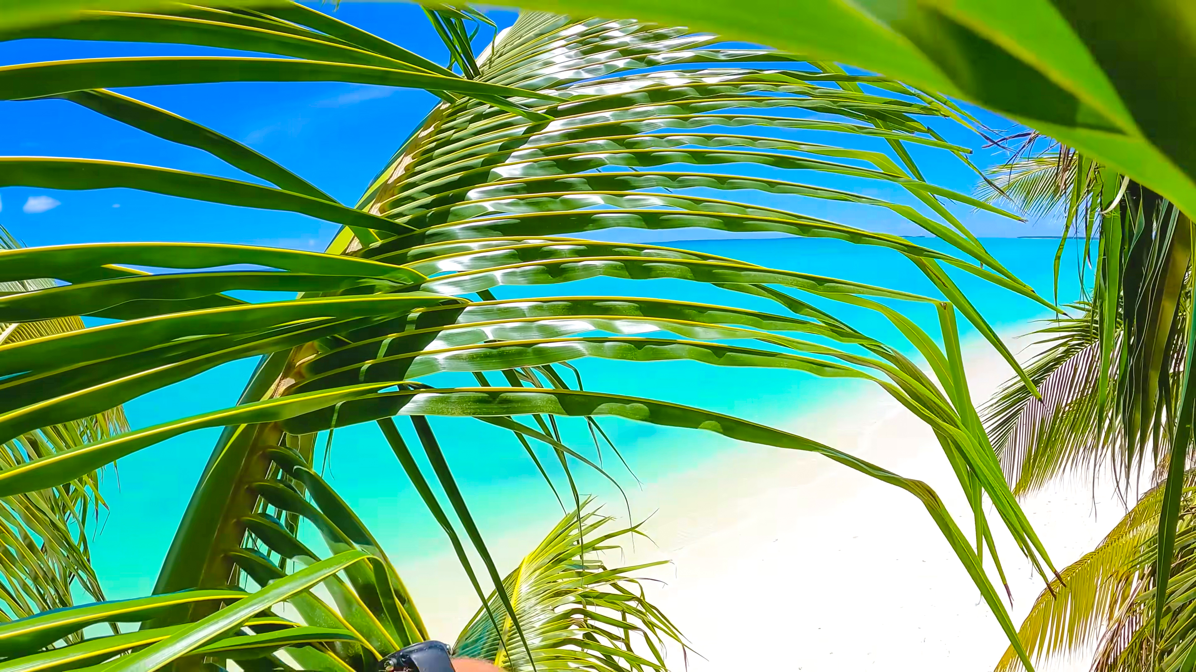 PRODUCTIONS IN STUNNING LOCATIONS ON MEDITERRANEAN, CARIBBEAN & PACIFIC AREA thumbnail