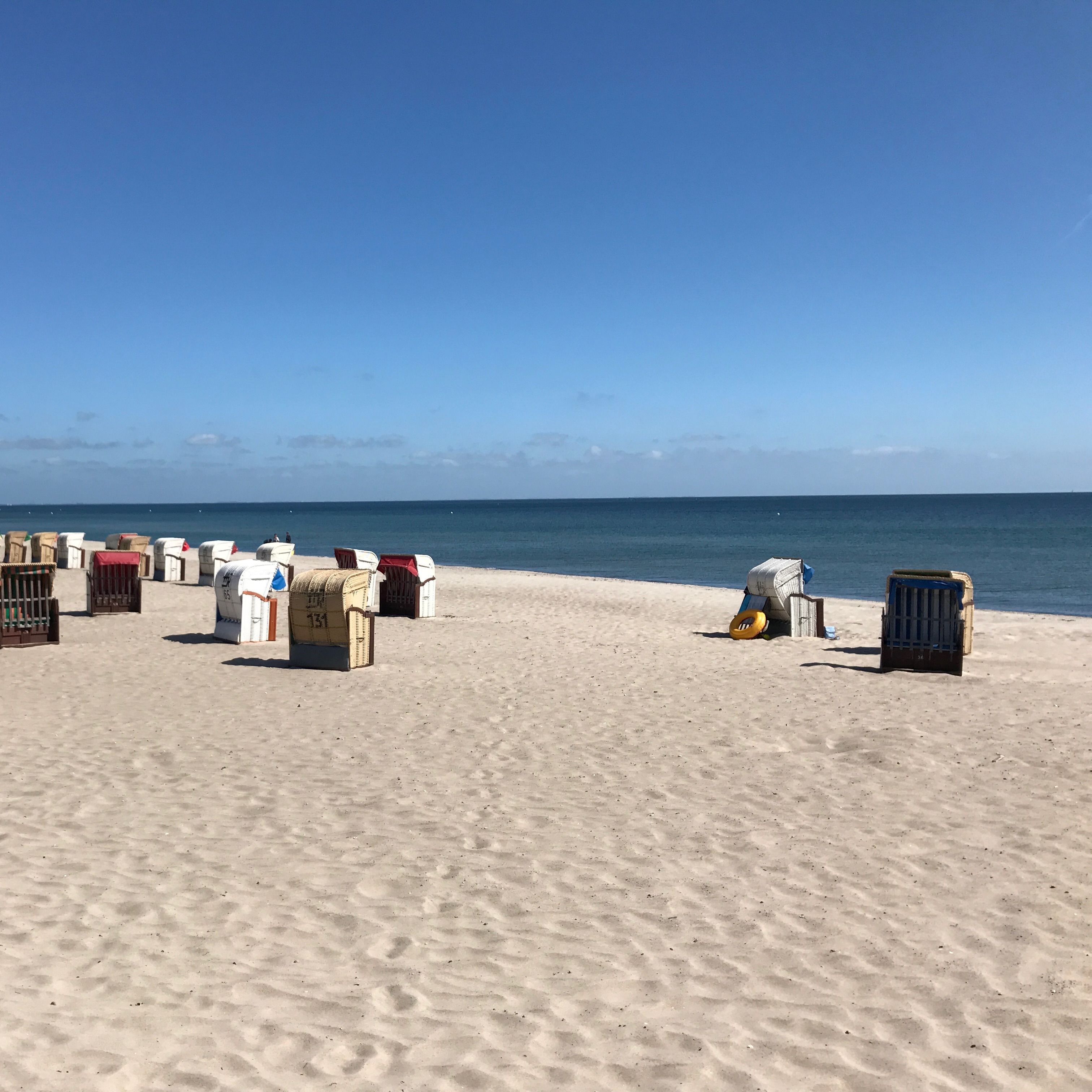 🌊 Ostsee mit Hund – Ferienwohnung Dahme entdecken thumbnail