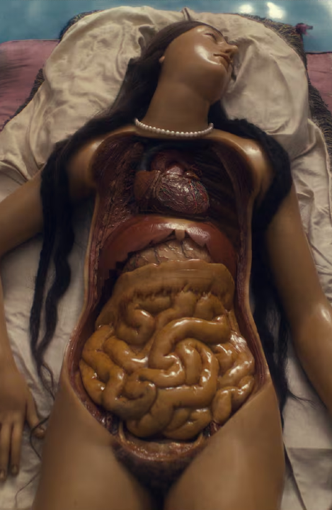 'Four Unloved Women, Adrift on a Purposeless Sea, Experience the Ecstasy of Dissection' by David Cronenberg' thumbnail