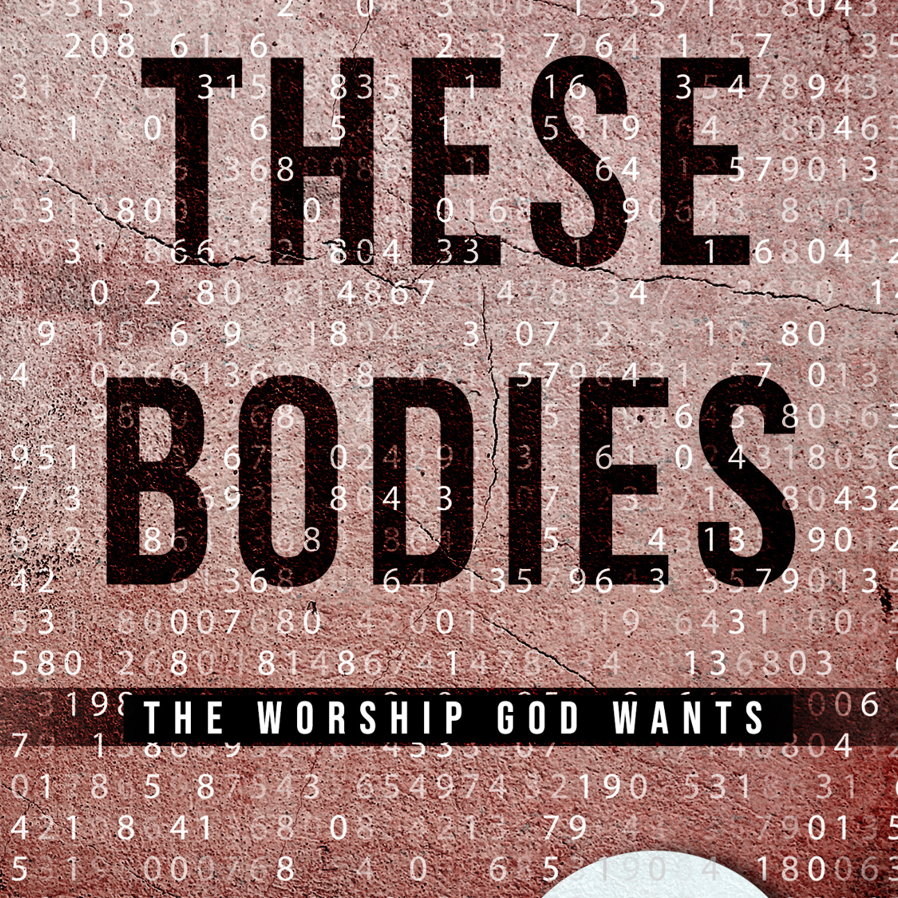 These Bodies Book, For Spiritual Maturity thumbnail