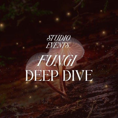 Fungi Deep Dive Journey 🍄 thumbnail