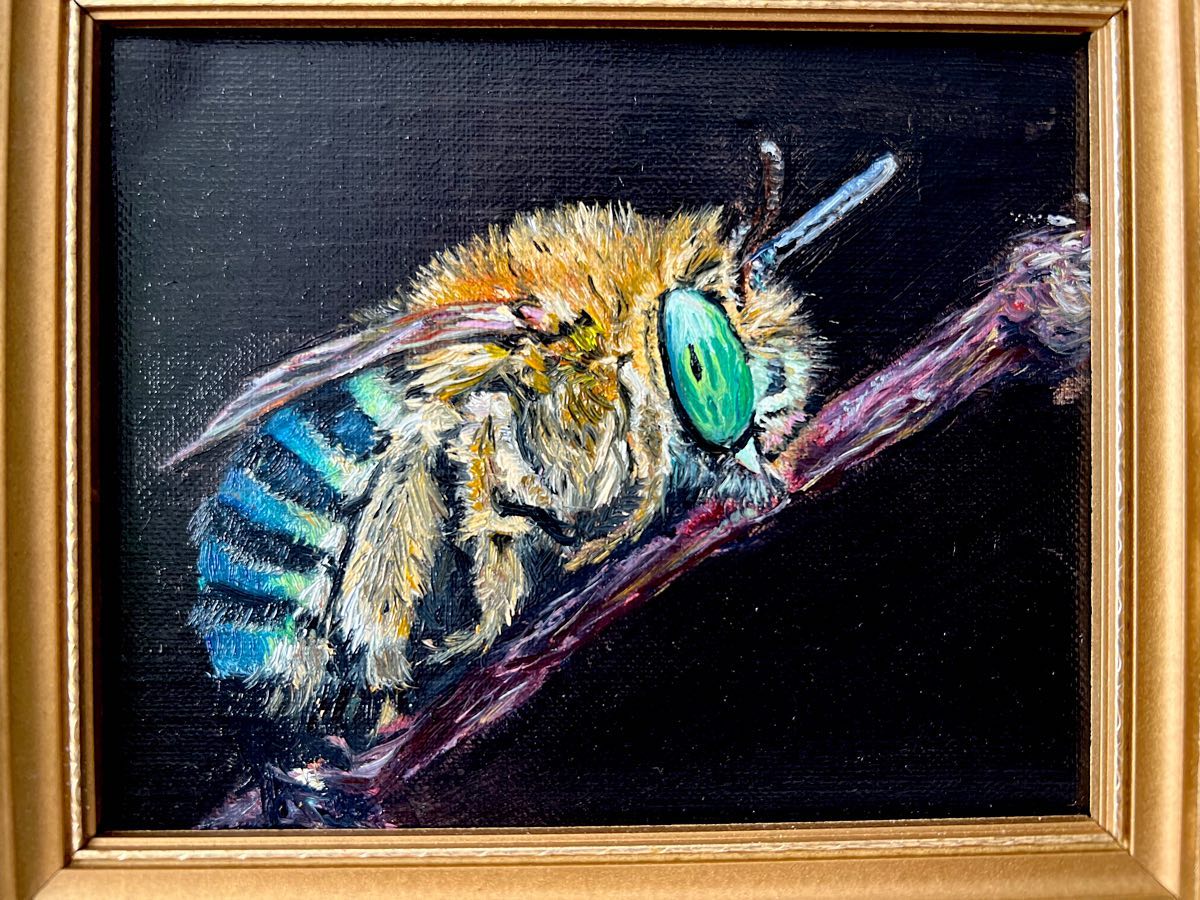 Jacqui’s latest little alla prima oil painting of a native bee 🐝 a few hours of painting wet on wet on Belgium linen and