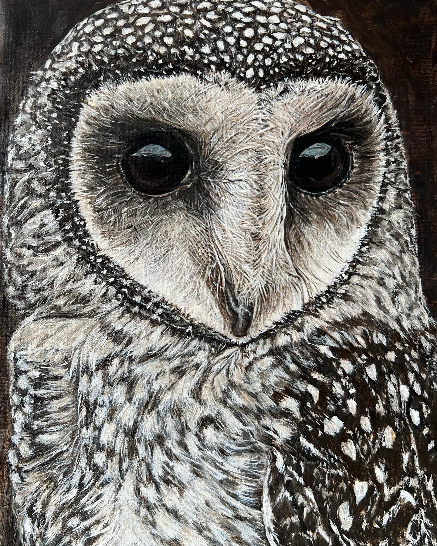 “tryeenna” (masked Owl)

Jacqui Thomson Mansell 

Oil on Belgium linen
21cm x 30cm 
8x11 inches

#jtmansell #maskedowl #