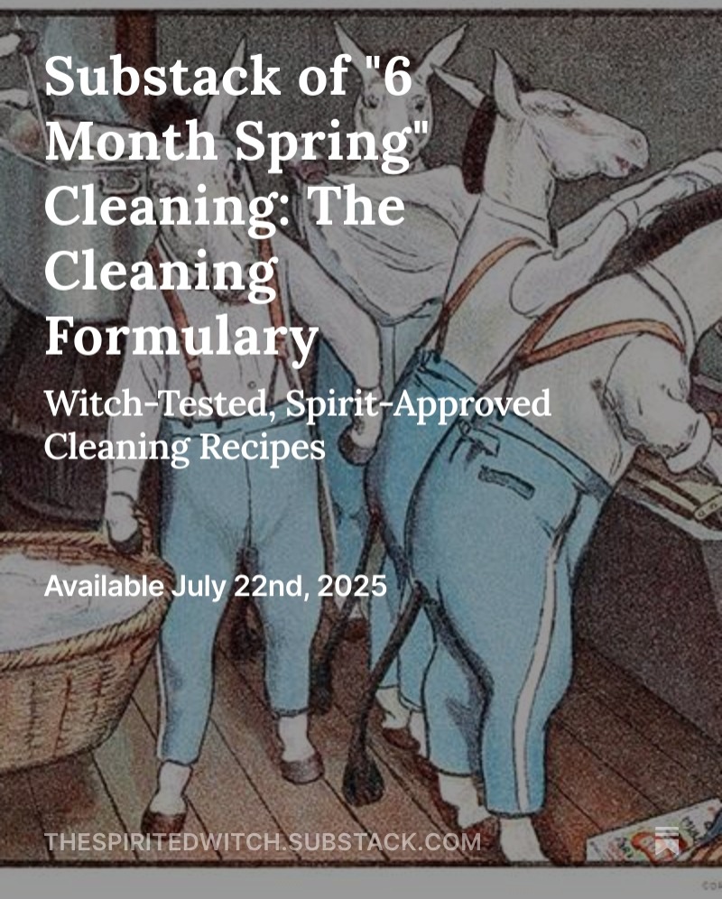 Substack of 6 Month Spring Cleaning: the Formulas thumbnail