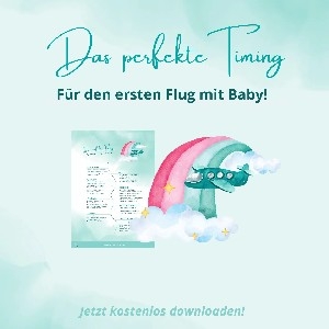 ⇢ FREEBIE: Das perfekte Timing für den ersten Flug mit Baby  thumbnail