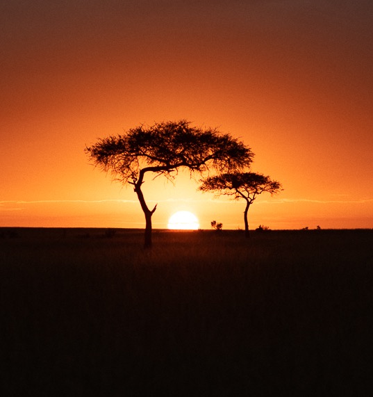 KENIA Y TANZANIA 🇰🇪🇹🇿 1 AL 10 DE JULIO 2026 thumbnail