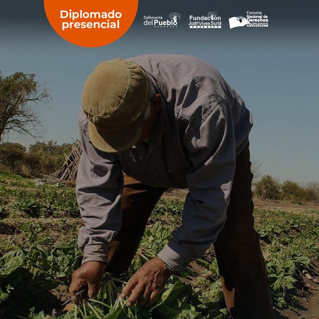 Derechos Humanos de las Campesinas y Campesinos thumbnail