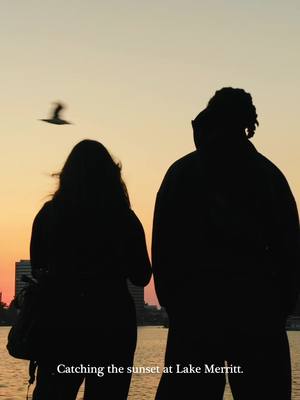 Replying to @kim Catching the sunset at Lake Merritt  filmed on @FUJIFILM X/GFX USA by me & @Kayli  drone captured by @h