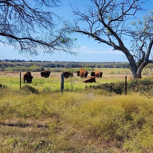 Give to our Land Back Campaign thumbnail