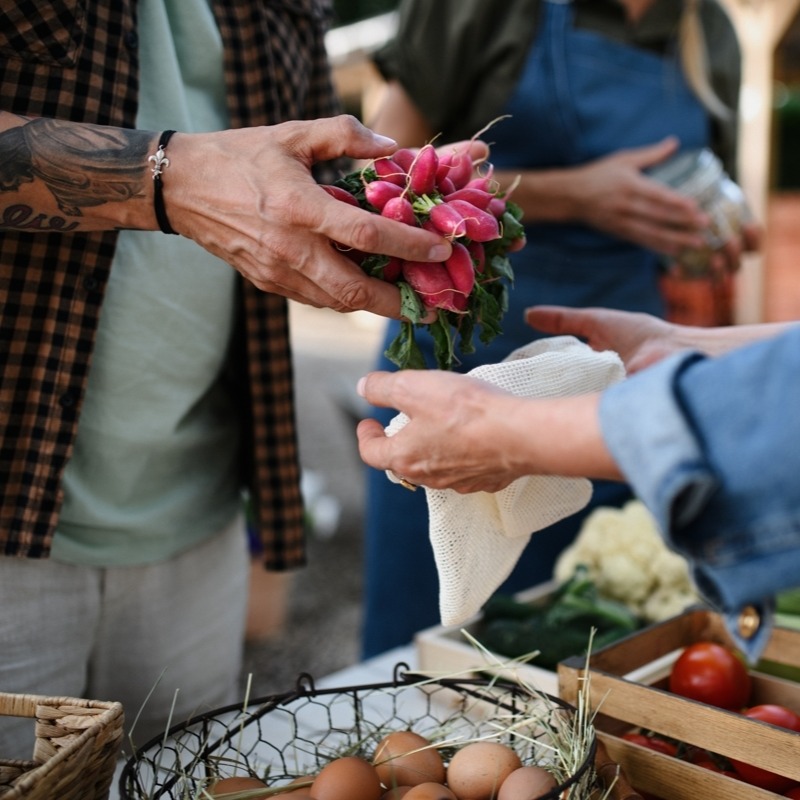 TTBP Farmers Market: Apply to Be a Vendor thumbnail