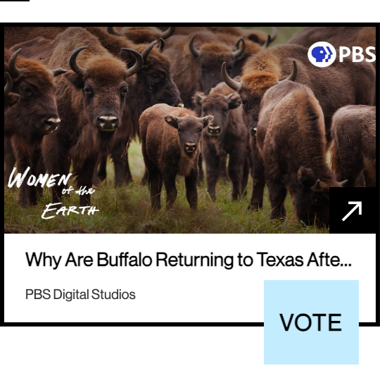 Webby Award: Vote for TTBP thumbnail