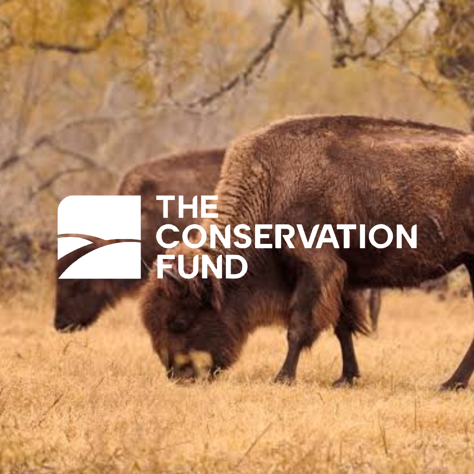 The Conservation Fund Partnership thumbnail