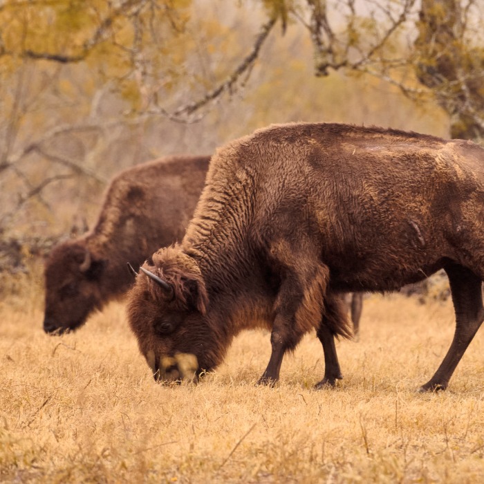 The Conservation Fund Partnership thumbnail