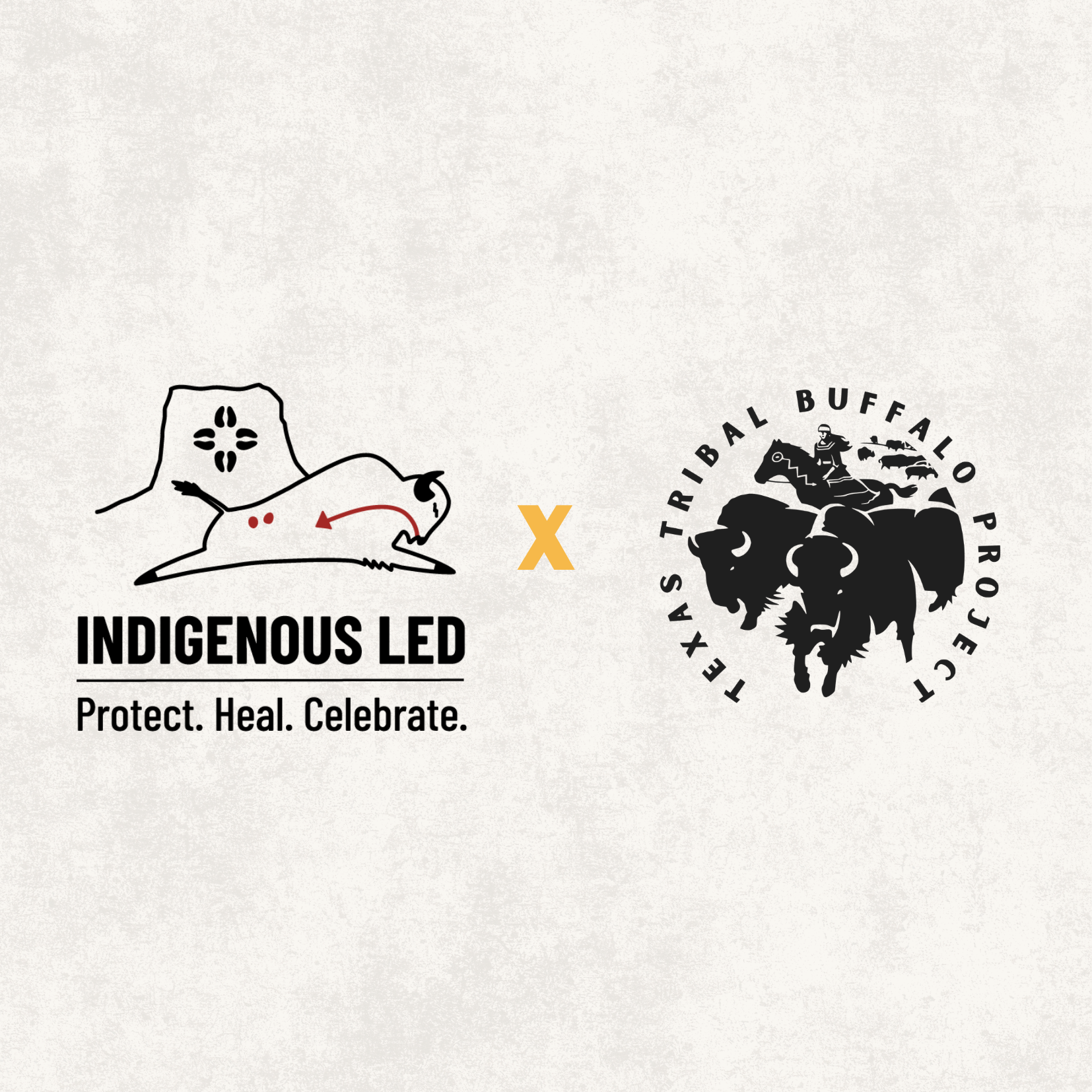 April 2026: Buffalo Beyond Borders thumbnail