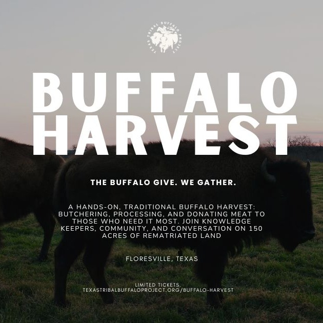 2026 Southern Plains Buffalo Harvest thumbnail