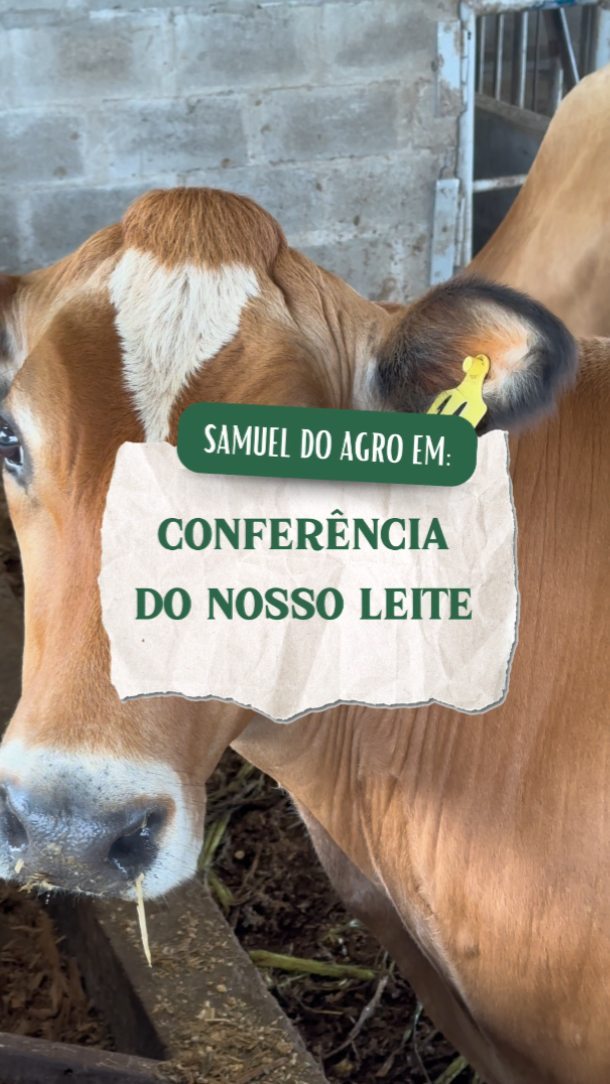 Samuel do Agro fazendo a conferência e o trato, para chegar até você o leite da nossa fazenda! Venha conhecer nosso empó