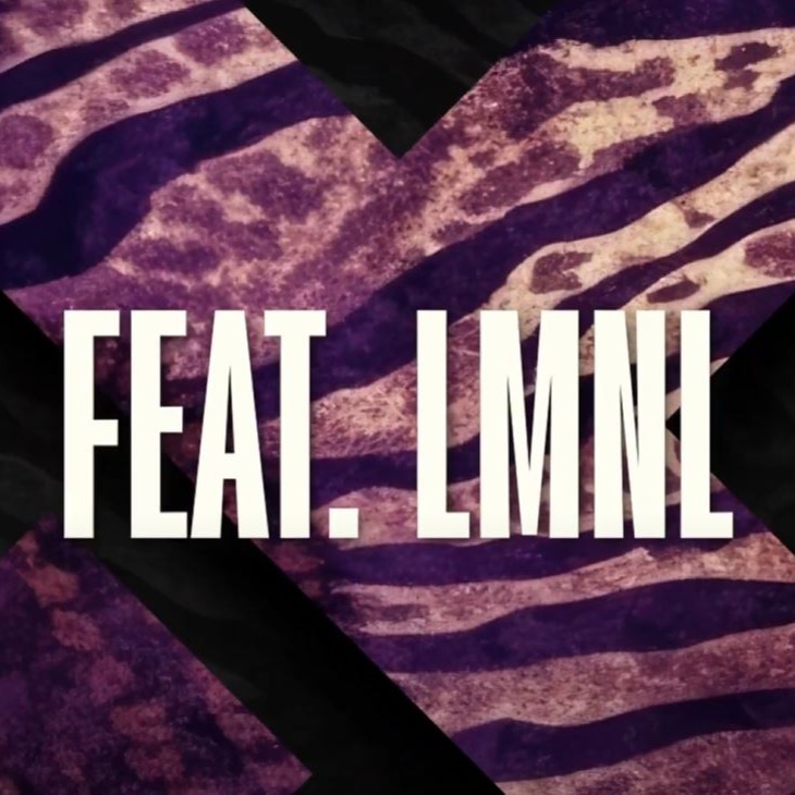 VISUALIZER - Oriol Calvo , LMNL - Into the Deep (Original Mix)  thumbnail