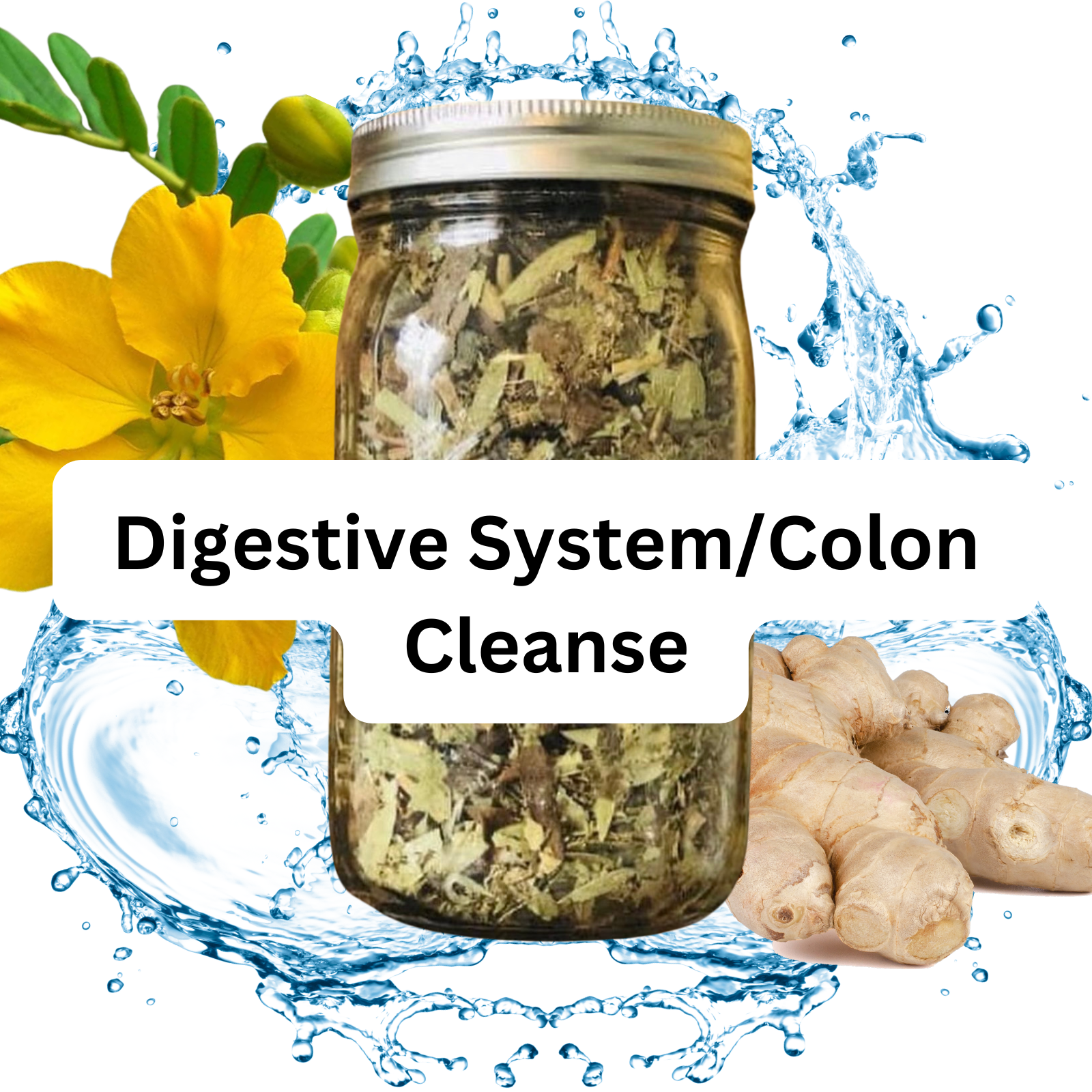 Digestive System/Colon Cleanse thumbnail