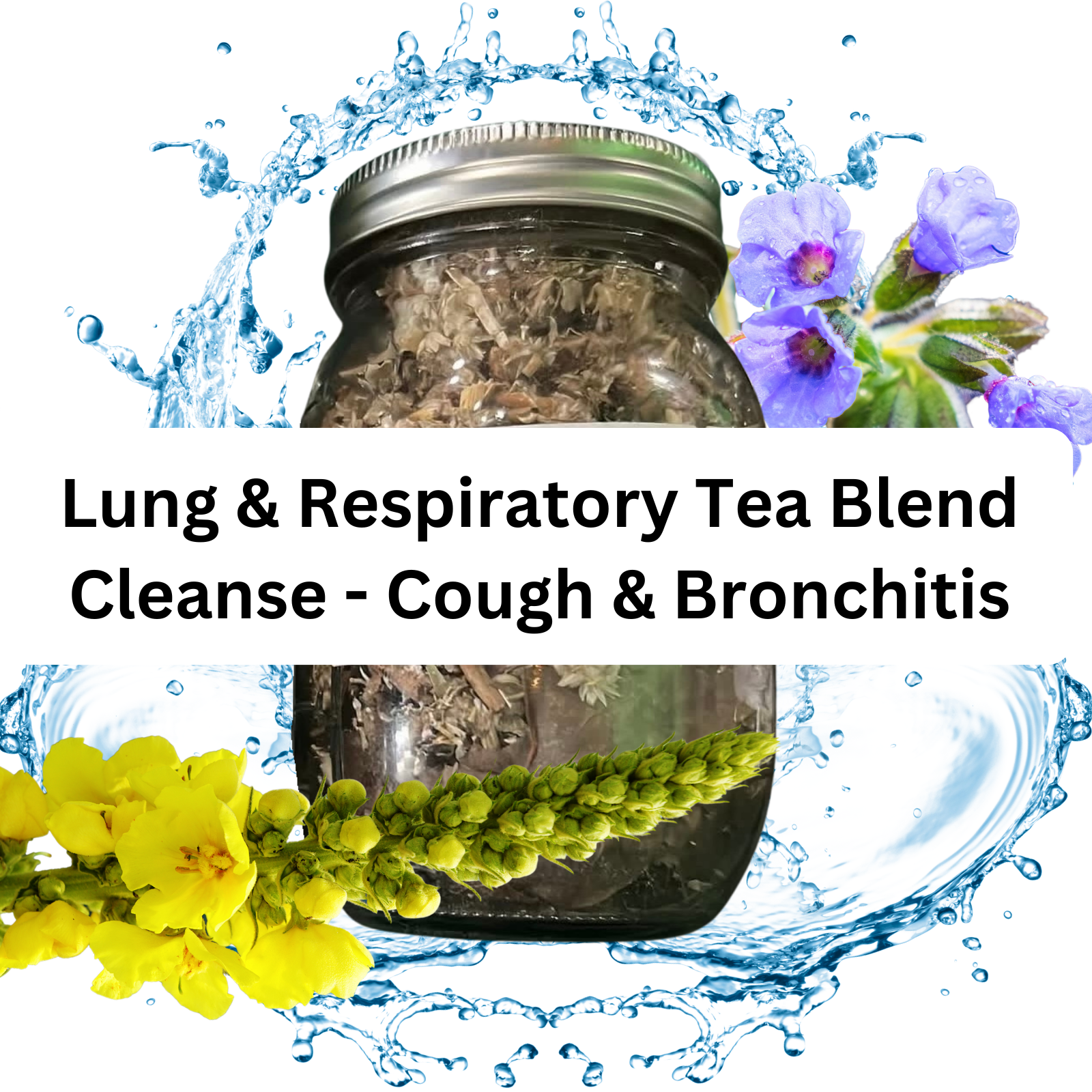 Lung/Respiratory Cough & Bronchitis Tea Blend thumbnail