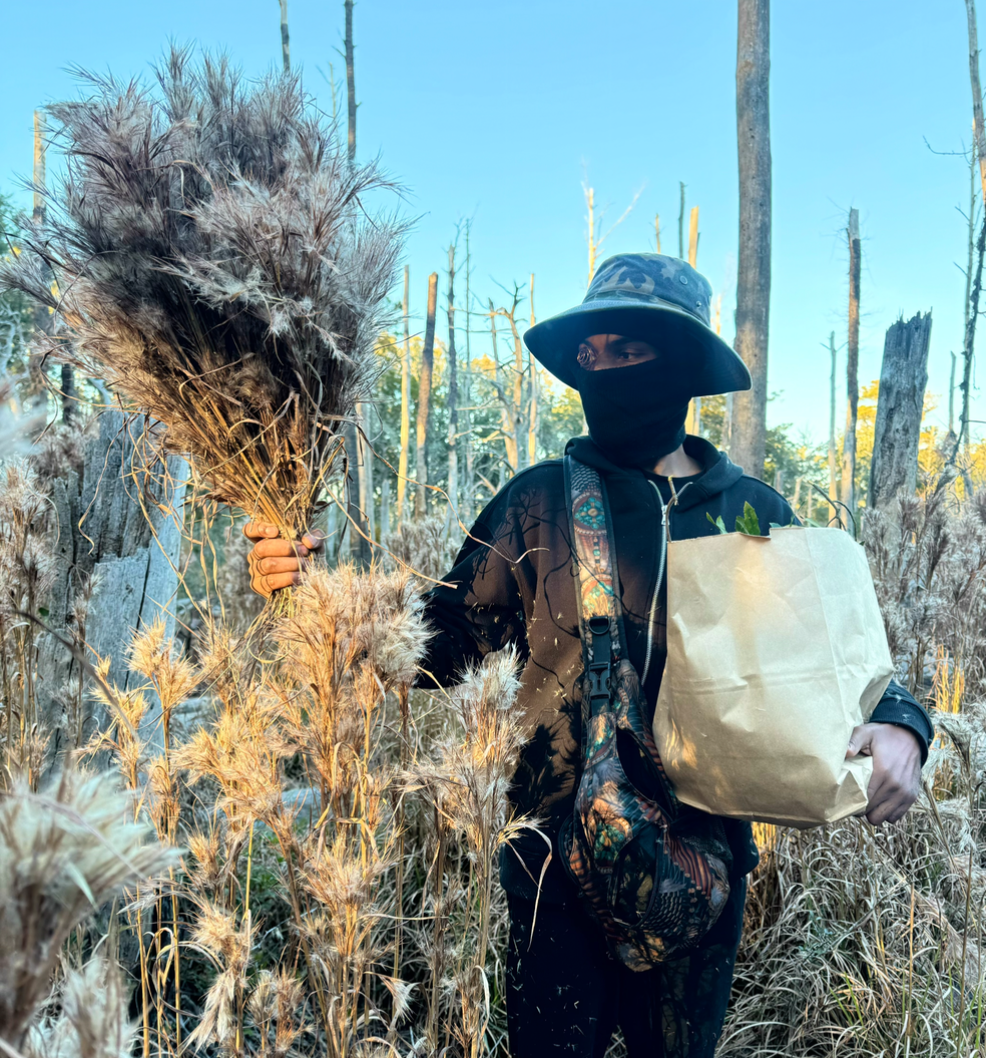 Herbal Remedies thumbnail