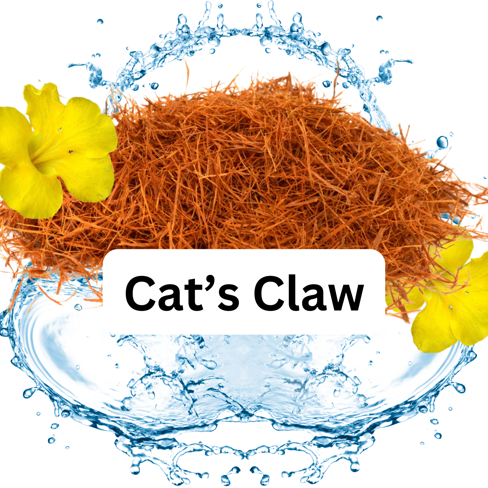 CAT’S CLAW thumbnail