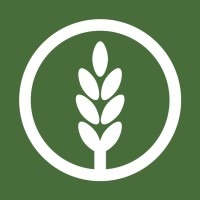 NeoLife Website thumbnail