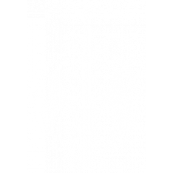 NZ Lightsaber Guild Group thumbnail