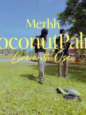 Anointed by Jah #coconutpalm  #biggupblessup 🚀