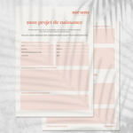GRATUIT Le guide et modèle de projet de naissance! thumbnail