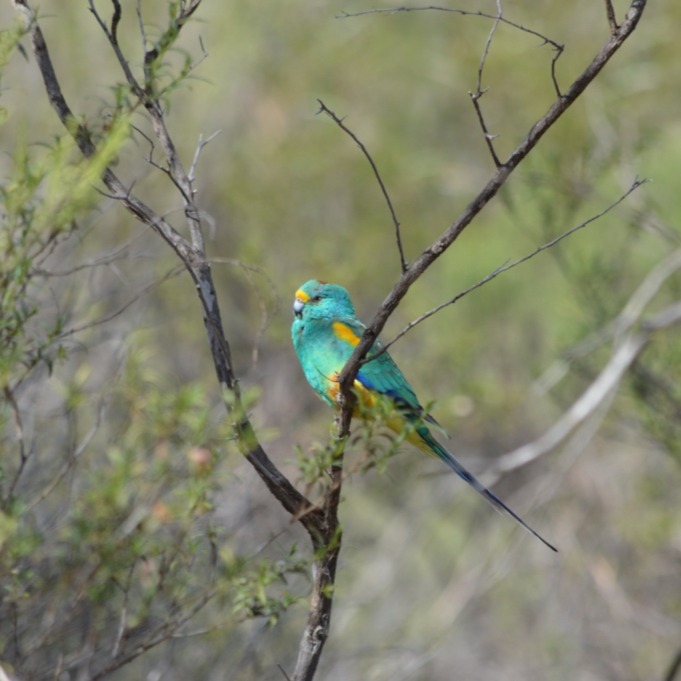 Latest article: The Future of Co-Benefit Valuation in Carbon Markets thumbnail