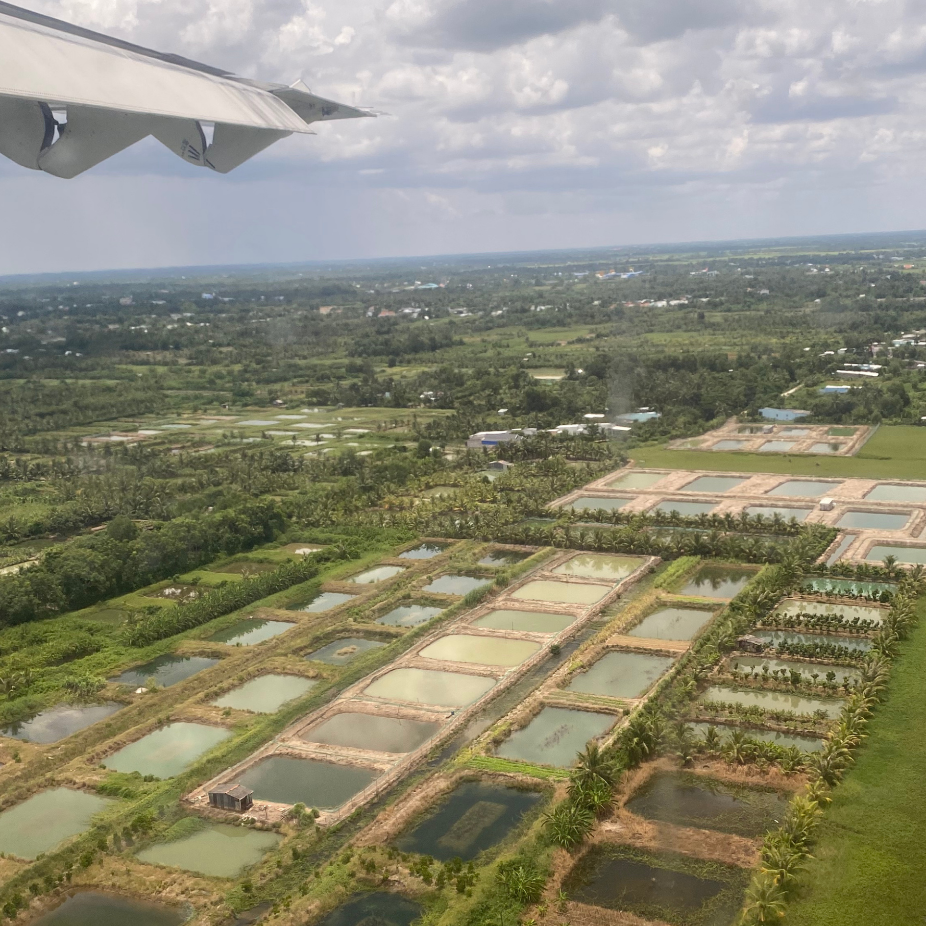 Driving Mangrove Restoration in Vietnam’s Cà Mau thumbnail