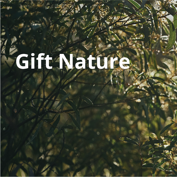 eGift cards - Carbon Neutral thumbnail