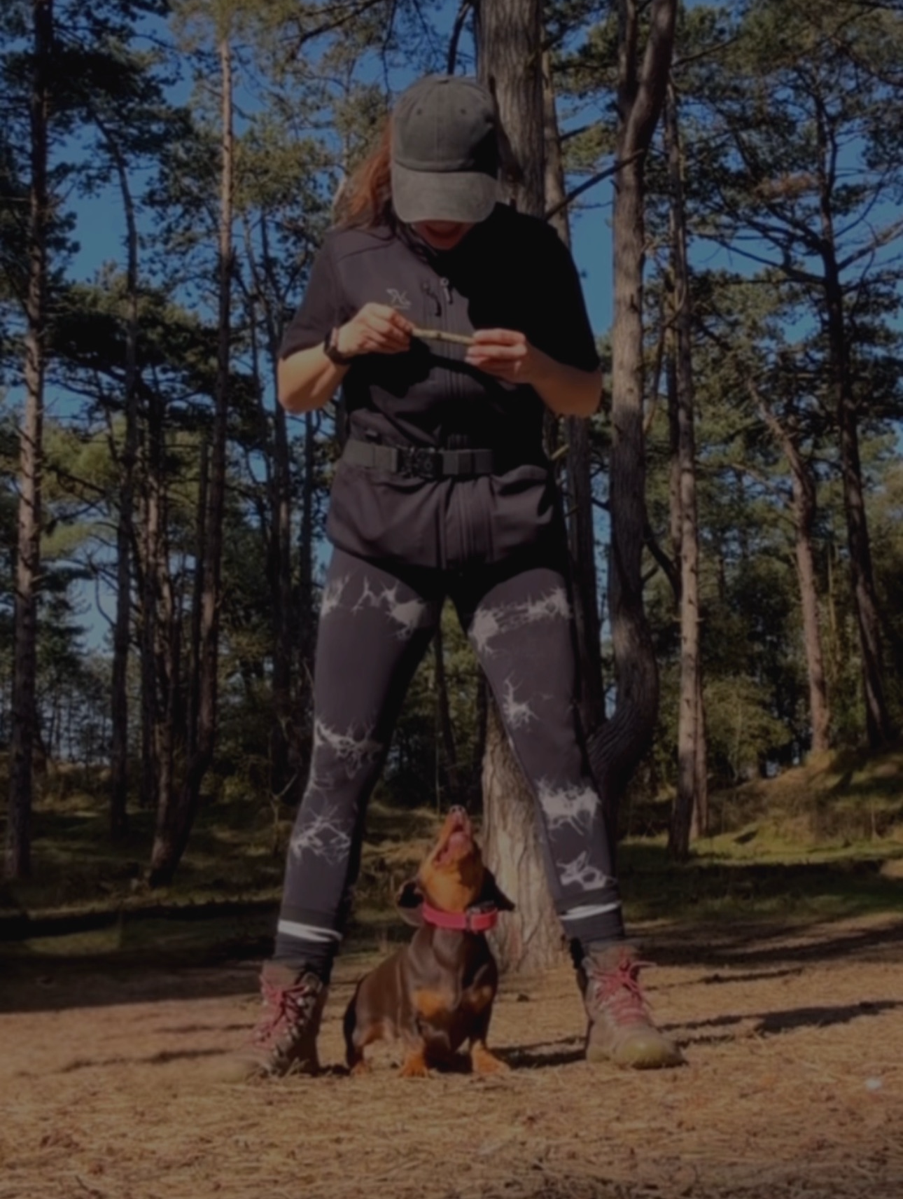 💬 Message me on WhatsApp to chat about your dog thumbnail